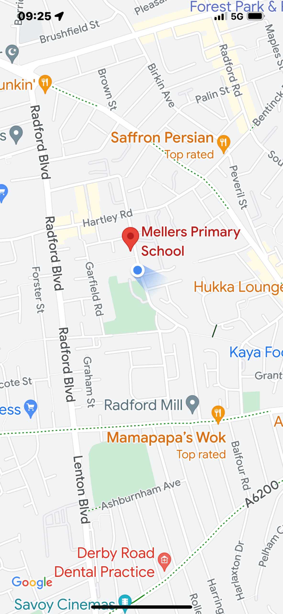 Google Map